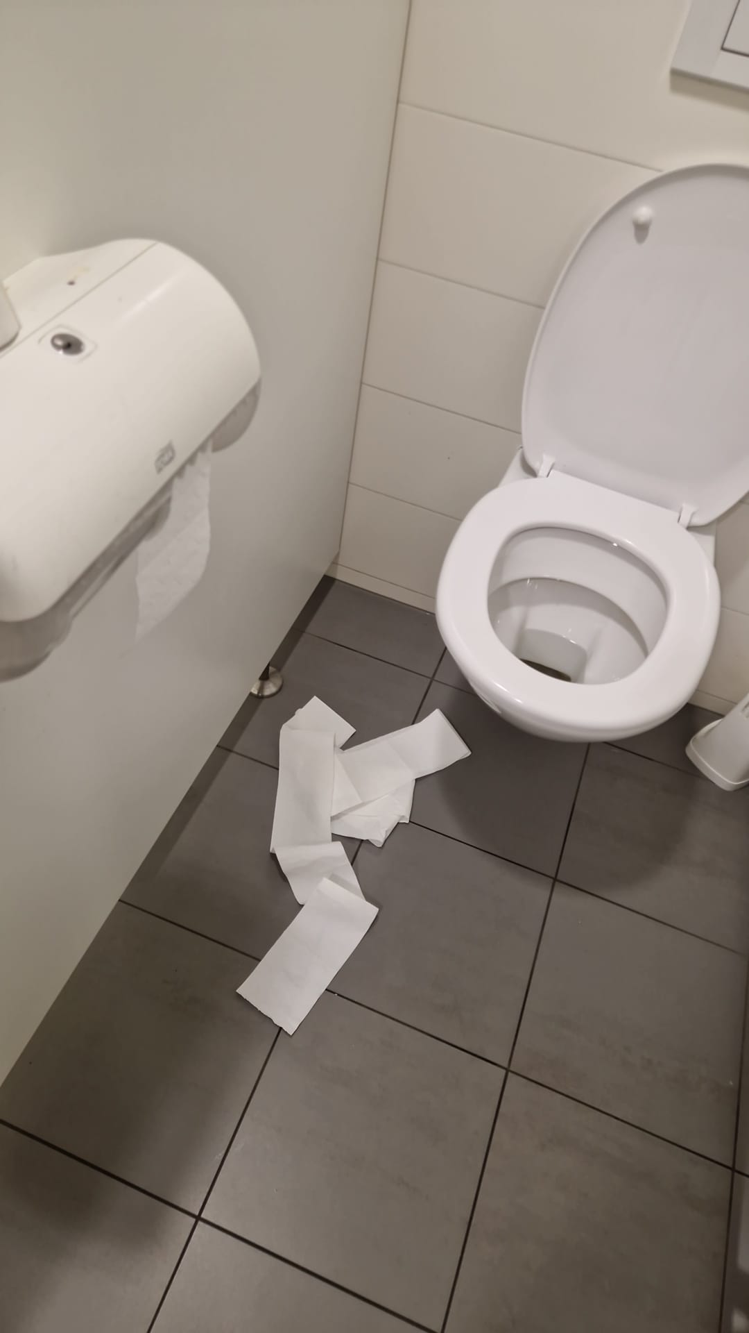 Toilettenpapier am Boden